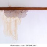 3d开奖结果第242期最新开奖号码已公布 100zf8an