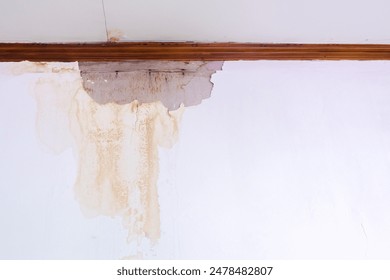 3d开奖结果第242期最新开奖号码已公布