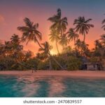 2019赛季中超联赛全程赛事直播精彩呈现 748d898