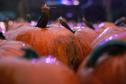 2017环意自行车赛全程直播精彩看点