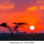 2017赛季NBL联赛全程赛事高清直播精彩不容错过 gtlmznml