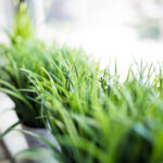 2017温网公开赛高清直播全程精彩对决 oak5v2kxd