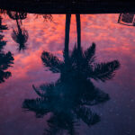 2017美网公开赛全程直播平台及精彩看点 se1c06k9