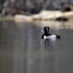 2017经视直播精彩回放全纪录 skuoyrvy