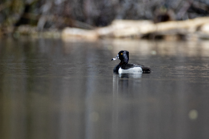 2017经视直播精彩回放全纪录