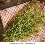 2017赛季中超联赛今晚焦点对决直播全程放送 u6i4b