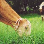 2019钻石联赛全球直播:田径巅峰对决精彩呈现 v8q14